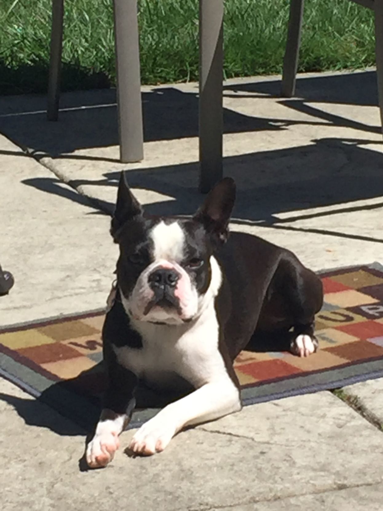 Louie
